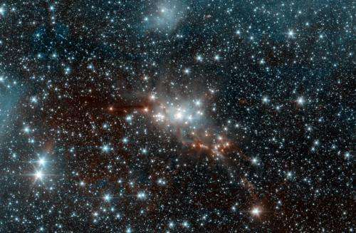Machines teach astronomers about stars