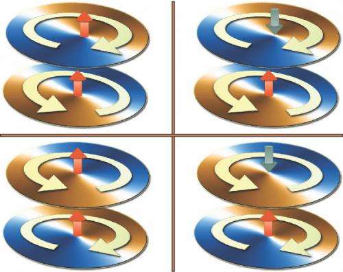 Magnetic vortices in nanodisks reveal information