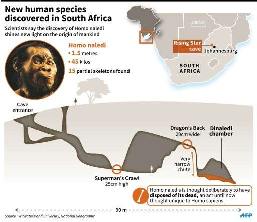 Maps and photo of Homo naledi, whose fossilised bones were discovered in South Africa