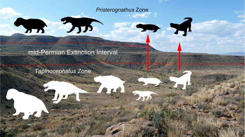 Mass extinction event from South Africa's Karoo