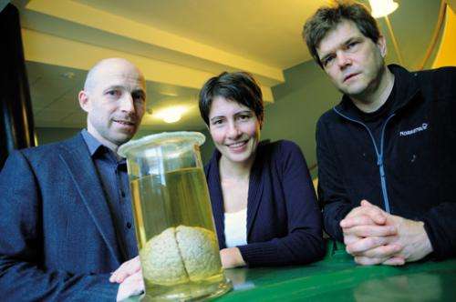 Mathematics to reveal the secrets of the brain