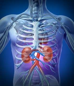 Mayo Clinic leads global effort to standardize diagnosis of kidney disease