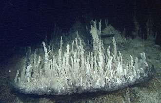 MBARI researchers discover deepest high-temperature hydrothermal vents in Pacific Ocean