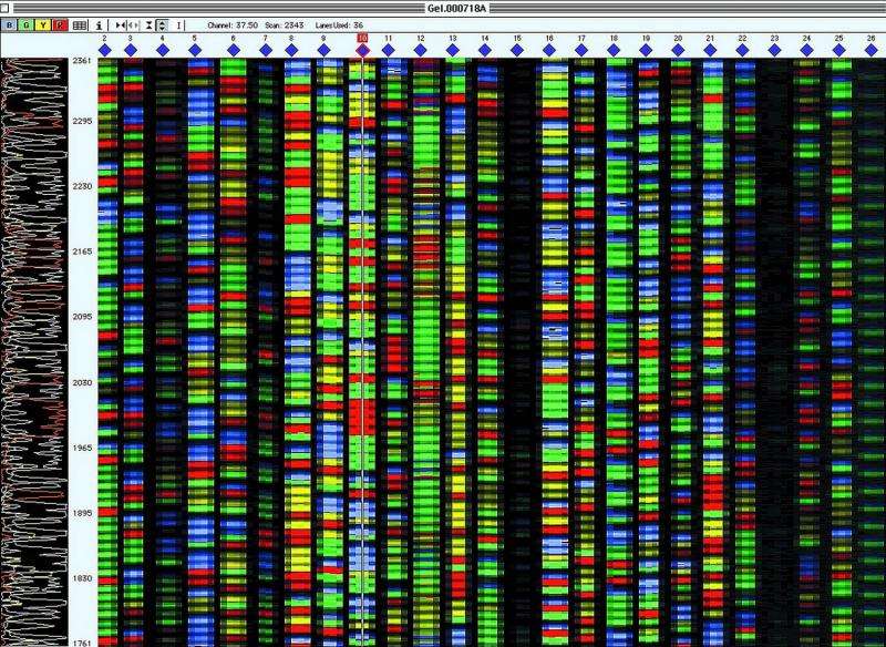 'Measuring stick' standard for gene sequencing now available from NIST