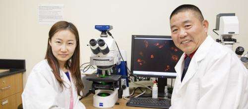 Medicinal chemist develops imaging tools to target degenerative diseases