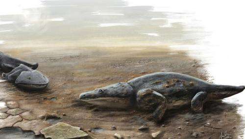 Meet the super salamander, who very nearly ate your ancestors for breakfast
