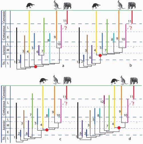 Mesozoic mammals -- what do we know from China?