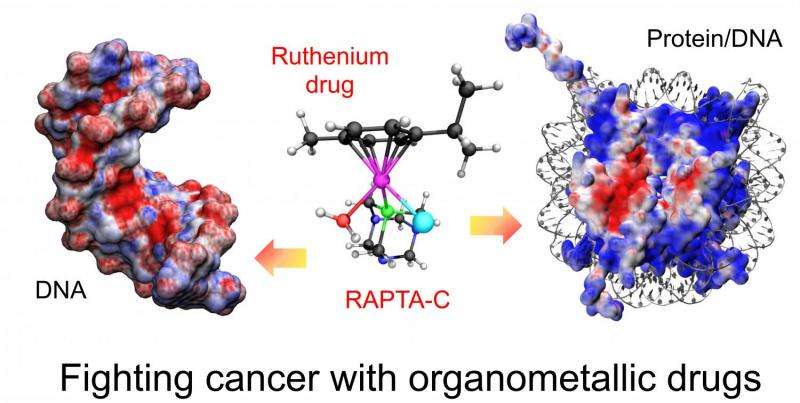 “Metal” drugs to fight cancer
