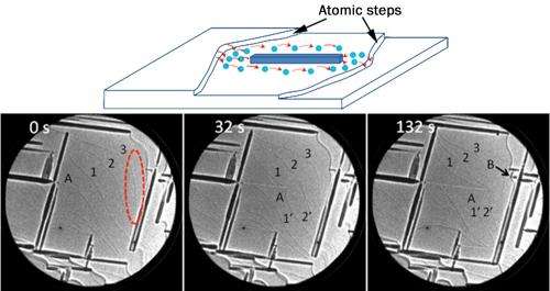 Metal oxidation controlled by atomic surface steps