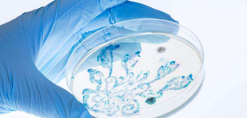 Microbe artwork shows the limits of antibiotics