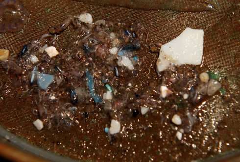 Microplastics ‘pollution puzzle’ in PNAS News feature