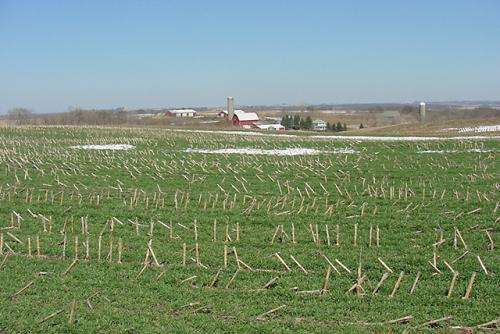 Modeling nutrient loss from Midwestern crop fields