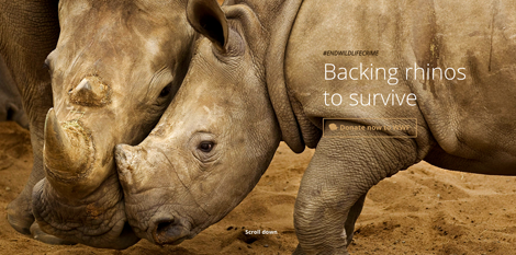 Modern methods lead the way toward a rhino rebound