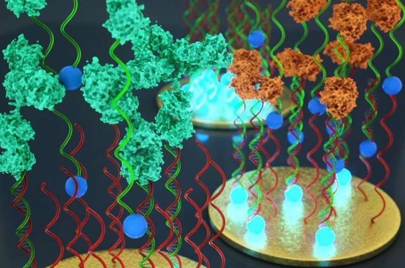 Molecular diagnostics at home: Chemists design rapid, simple, inexpensive tests using DNA