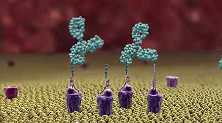 Molecular homing beacon redirects human antibodies to fight pathogenic bacteria