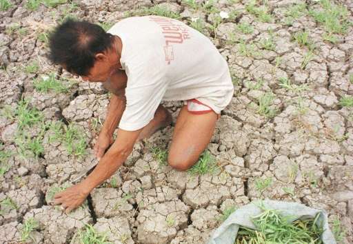 Most places in the Philippines are expected to have a 60 to 80 percent drop in rainfall due to the El Nino phenomenon