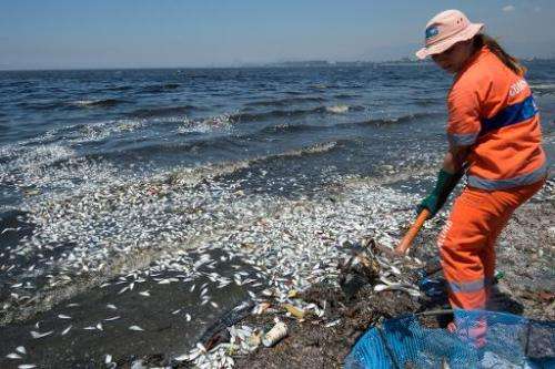 Municipality workers remove thousands of dead fish from the Guanabara Bay near the international airport in Rio de Janeiro, Braz