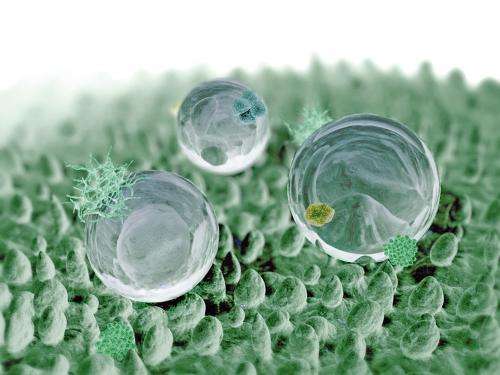 Nano-hydrogels that attack cancer cells