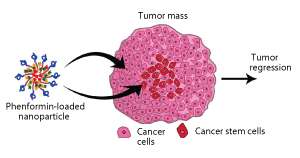 Nano packages for anti-cancer drug delivery
