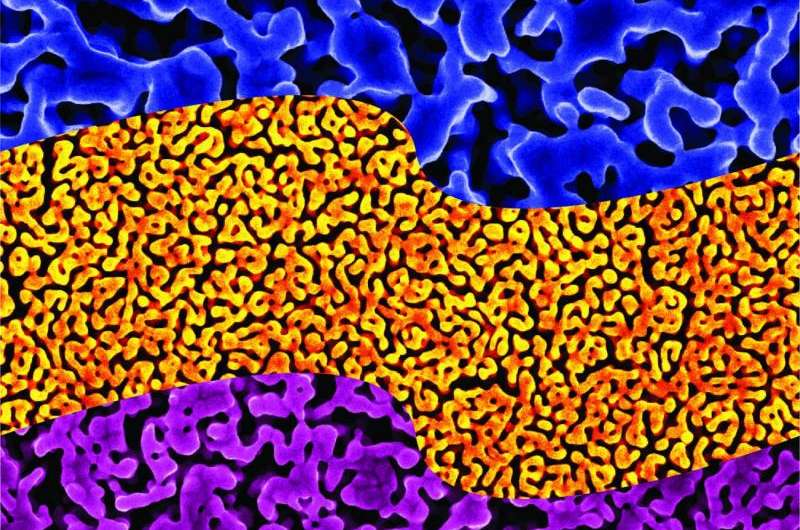 Nanoporous gold sponge makes DNA detector