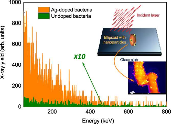 Nanospiked bacteria are the brightest hard X-ray emitters