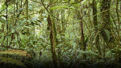 NASA finds good news on forests and carbon dioxide