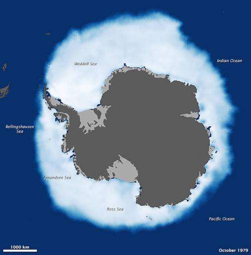 NASA study shows global sea ice diminishing, despite Antarctic gains