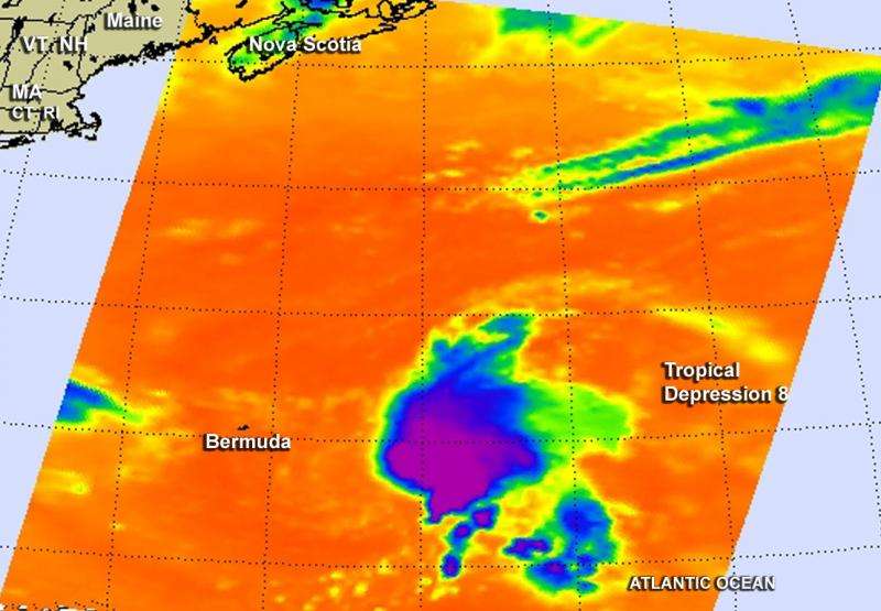 NASA takes an infrared baby picture of Atlantic's Tropical Depression 8