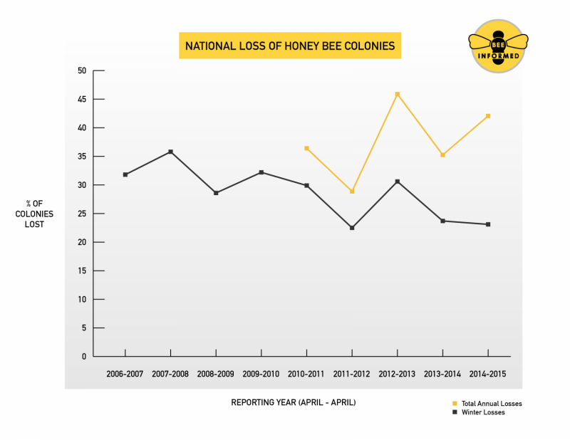 Nation's beekeepers lost 40 percent of bees in 2014-15