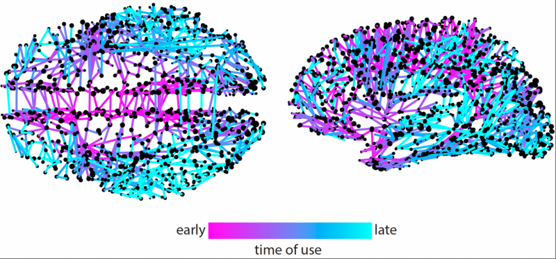 Network model for tracking Twitter memes sheds light on information spreading in the brain