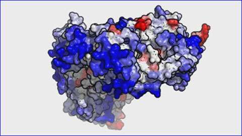 New 3D method improves the study of proteins