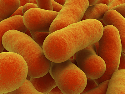 New biosensors for managing microbial 'workers'