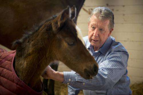 Newborn foals may offer clues to autism