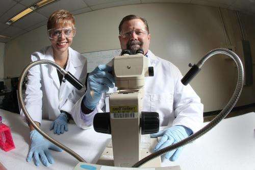 New class of insecticides offers safer, more targeted mosquito control