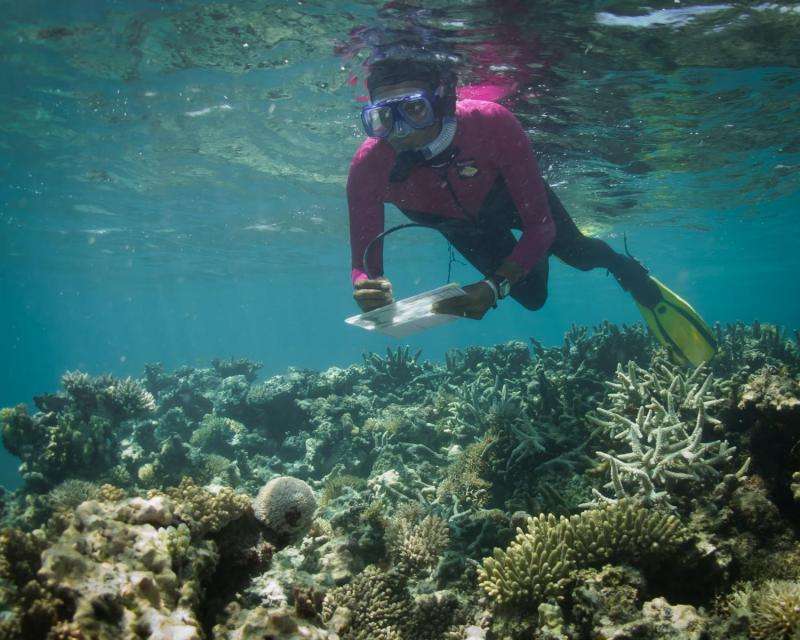 New climate stress index model challenges doomsday forecasts for world's coral reefs