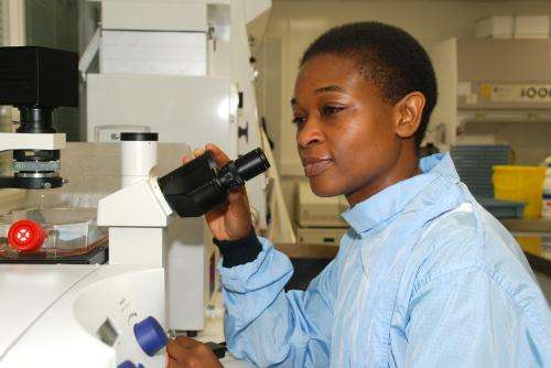 New drug development to focus on the genetics of cervical cancer