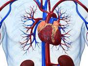 新药物可能有助于治疗心脏衰竭