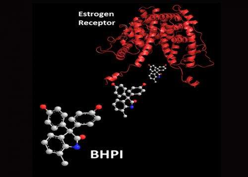 New drug stalls estrogen receptor-positive cancer cell growth and shrinks tumors