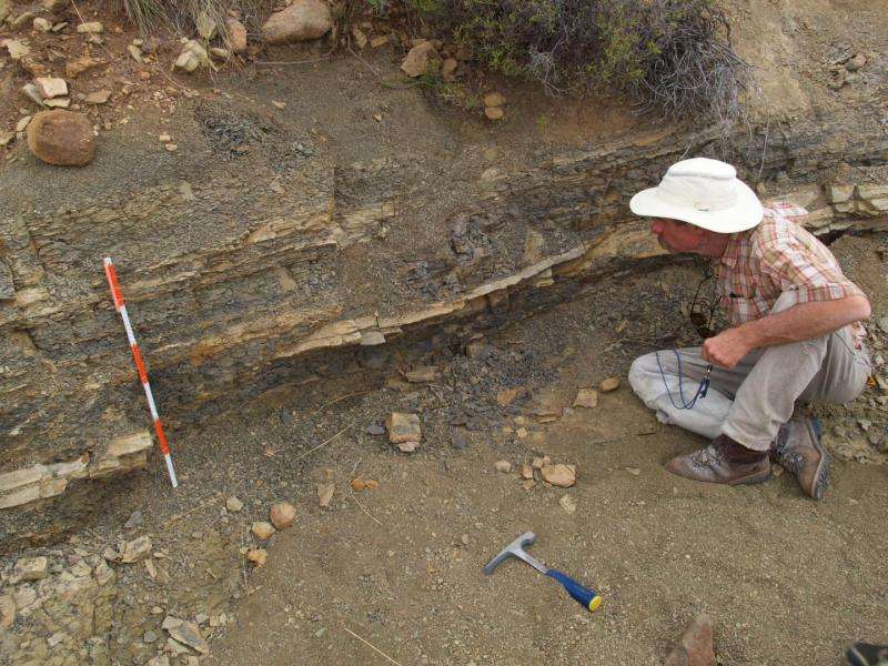 New findings rock long-held assumptions about ancient mass extinction