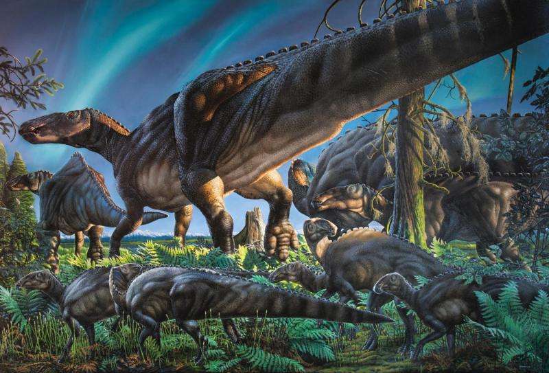 New hadrosaur species discovered on Alaska's North Slope
