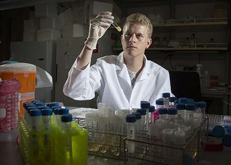 New method to treat antibiotic resistant MRSA: Bacteriophages