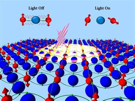 New route for switching magnets using light