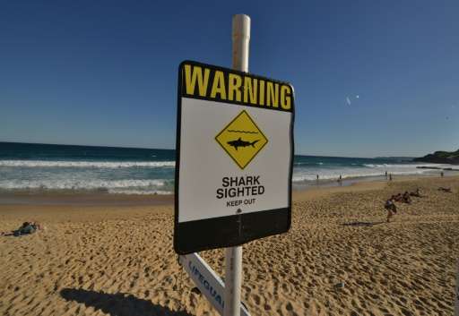 New South Wales, the nation's most populous state, has ruled out culling sharks despite the spike in attacks this year