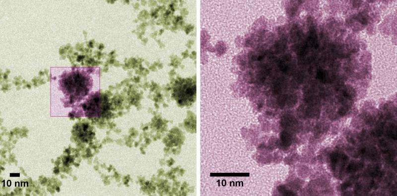 NIST's 'nano-raspberries' could bear fruit in fuel cells