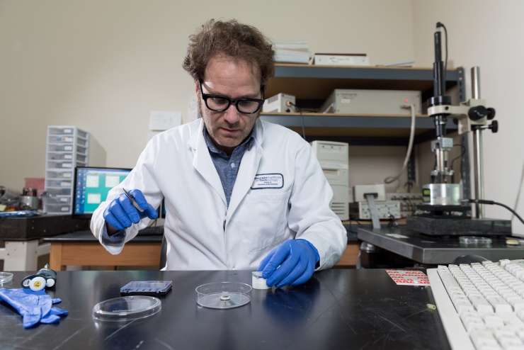 Non-aqueous solvent supports DNA nanotechnology