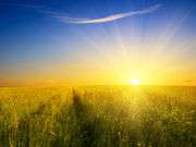Noon best time to get vitamin D from sun for minimal cancer risk