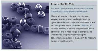 Novel photolithographic technology that enables control over functional shapes of microstructures