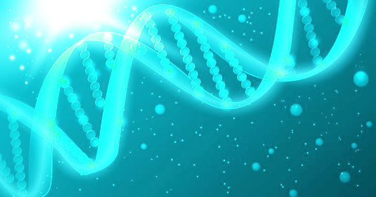 Novel UV-mediated mode of DNA repair