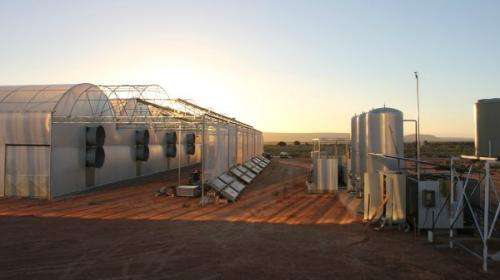 Nutrient-enriched desalinated water more feasible for agriculture