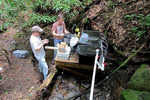 Nutrient pollution damages streams in ways previously unknown, ecologists find